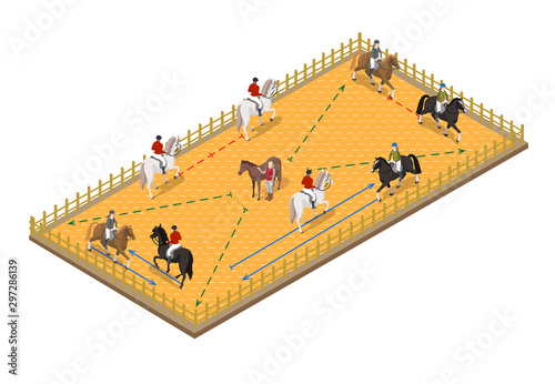 Poster for horse info graphic design.