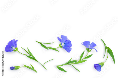 Fototapeta Naklejka Na Ścianę i Meble -  flax flowers or Linum usitatissimum on a white background with copy space for your text. Top view, flat lay