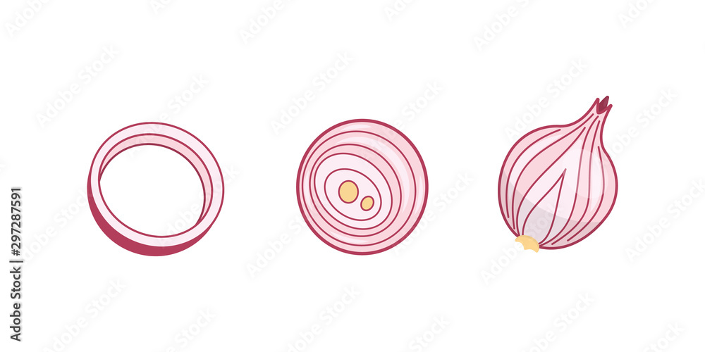 Half and sliced onion ripe. onions vegetable vector in cartoon style. Stock  Vector | Adobe Stock