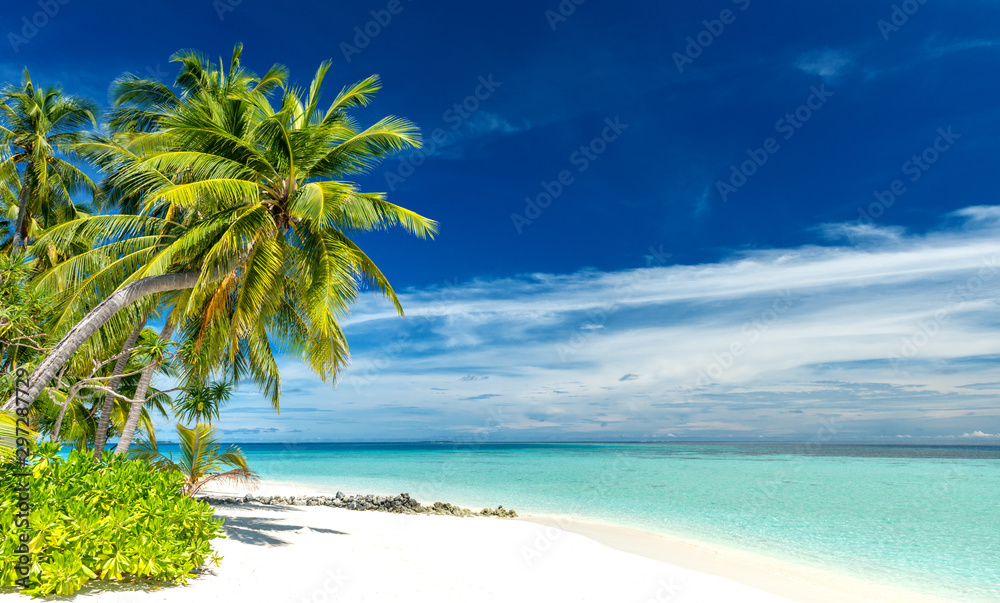 tropical paradise beach with white sand and coconut palm trees