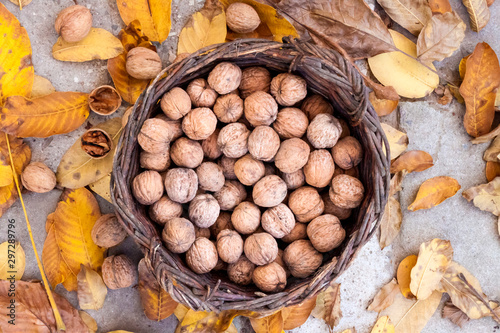 Walnuts in a wicker basket on a background of fallen yellow leaves