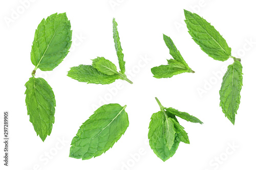 fresh green mint leaves isolated on white background, top view. Flat lay