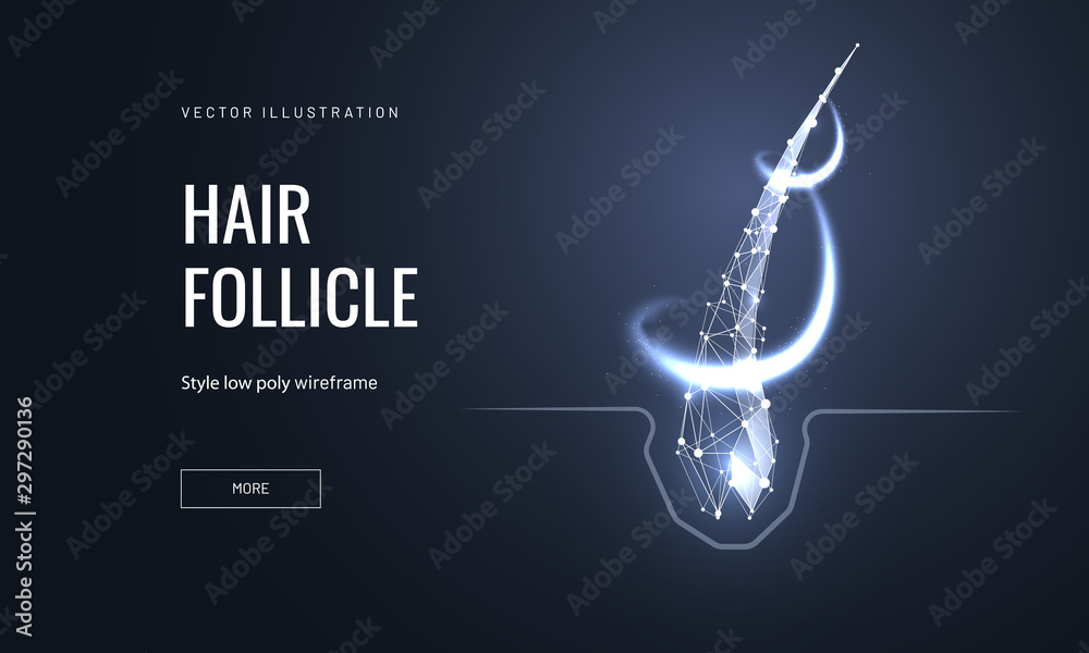Hair follicle treatment low poly landing page template - obrazy, fototapety, plakaty 