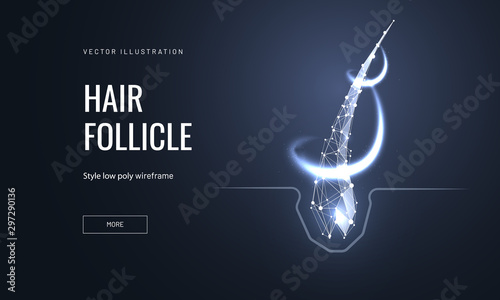 Hair follicle treatment low poly landing page template photo