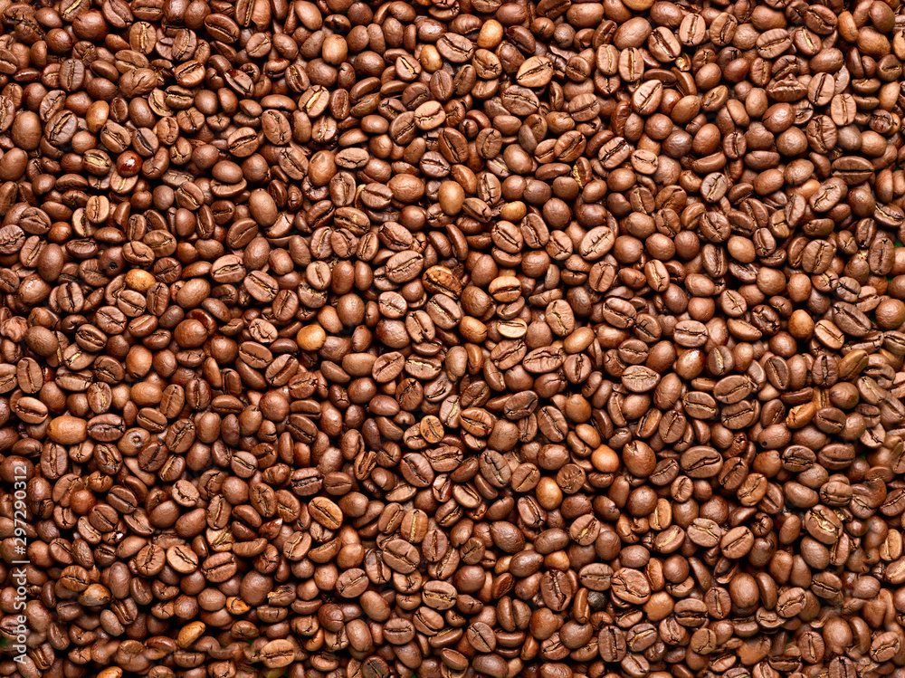 coffee bean brown roasted caffeine espresso seed coffee bean brown roasted caffeine espresso seed