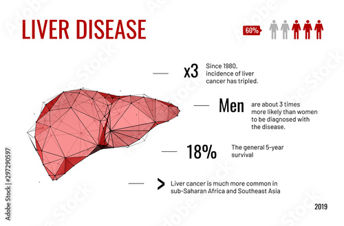 Liver facts low poly wireframe banner template