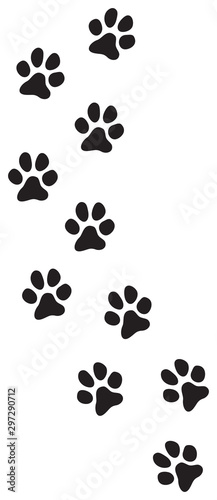 Dog paw prints track vector illustration
