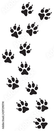 Cat paw print track vector illustration