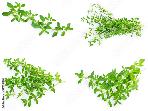 Set or collection fresh thyme isolated on white background
