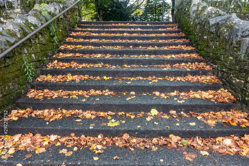Autumn leaves on a flight of stairs.