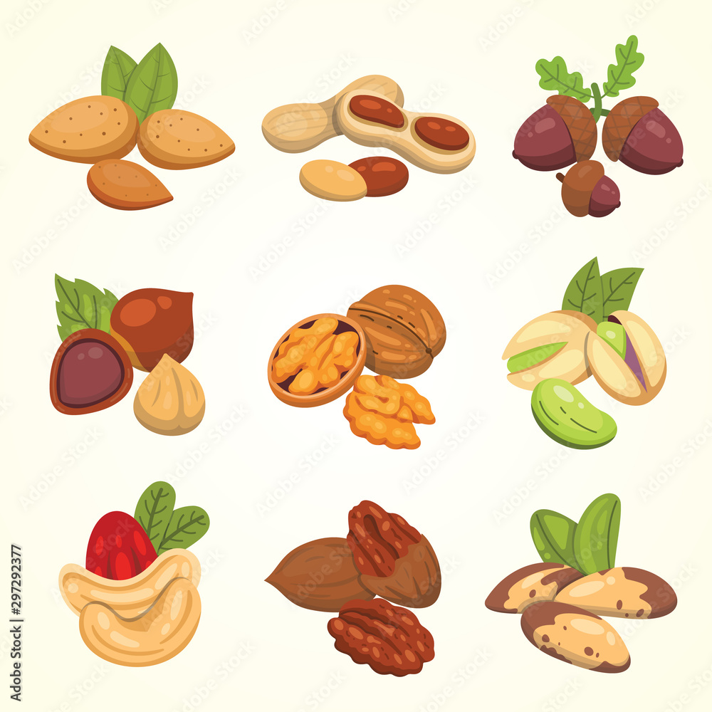 Set vector icons nuts in cartoon style. Nut food collection. Peanut, hazelnut, pistachio, cashew, pecan, walnut, brazil nut, almond, acorn. Set vector icons nuts in cartoon style. Nut food collection. Peanut, hazelnut, pistachio, cashew, pecan, walnut, brazil nut, almond, acorn.