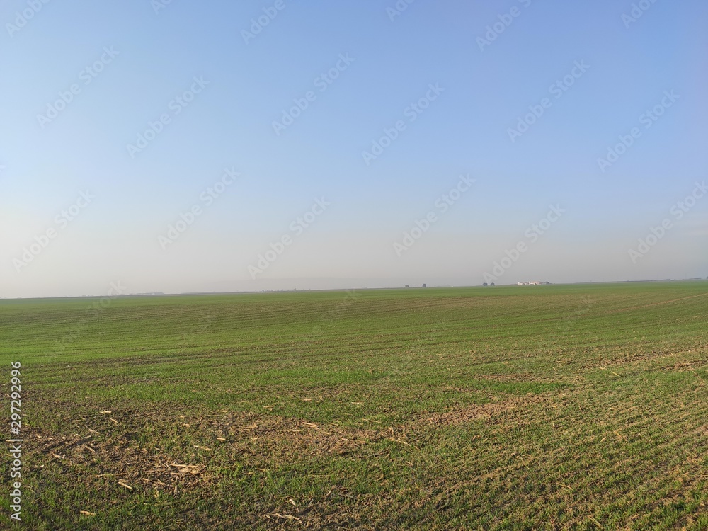 Vojvodina Serbia landscape flat arable fertile land in autumn