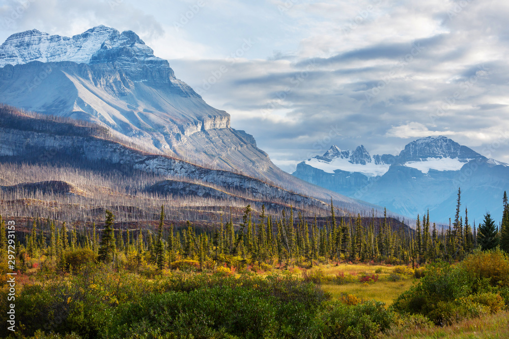 Obraz premium Autumn in Canada