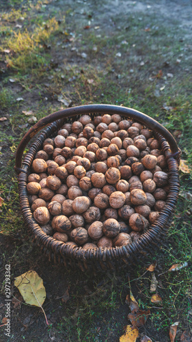 basket with nuts close up