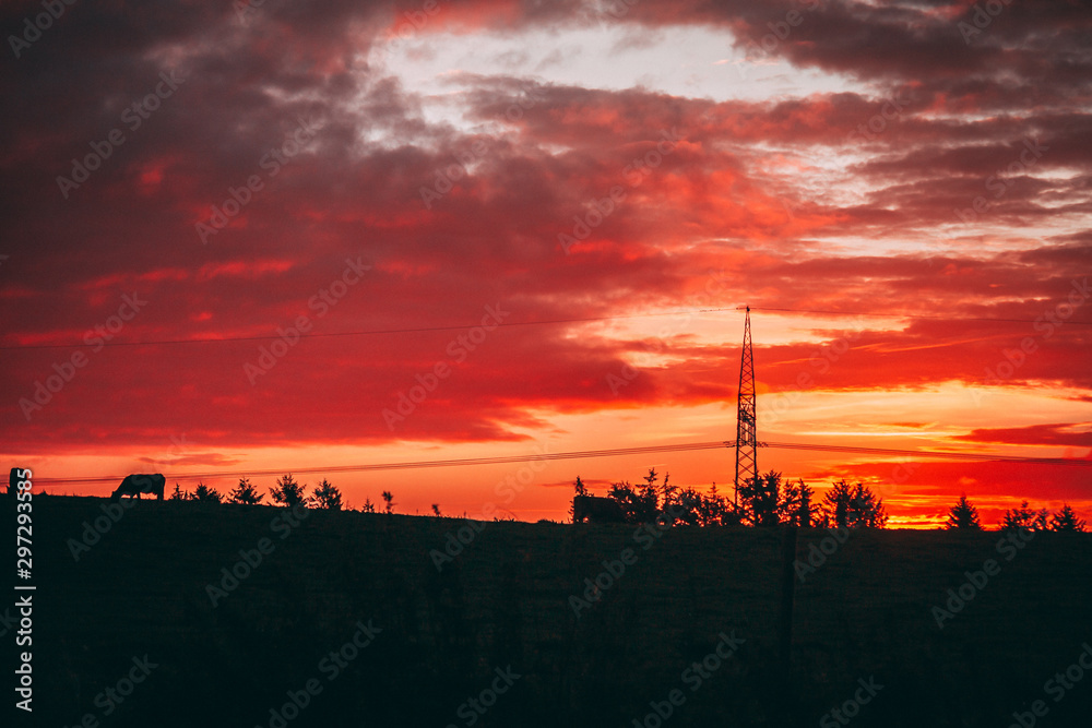 Obraz premium Sunrise