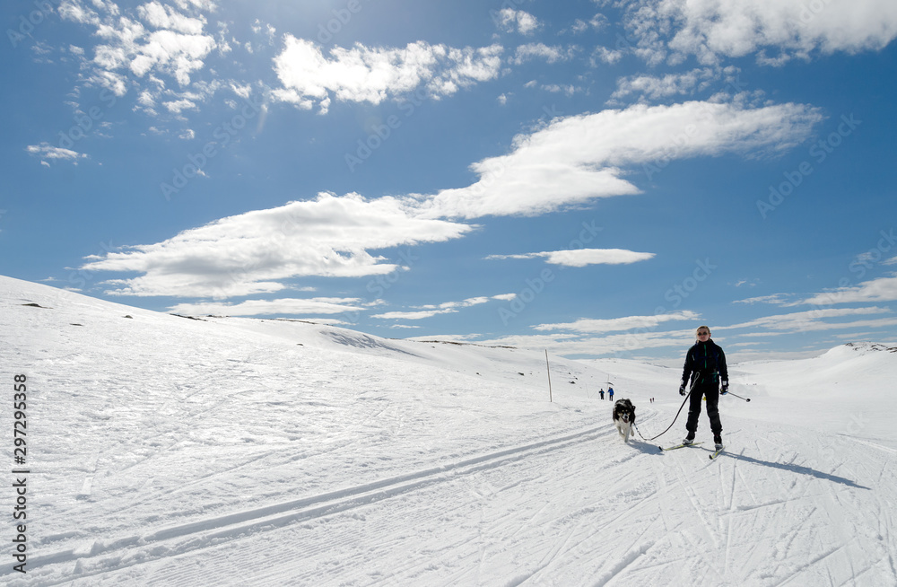 Girl easter time skiing in norwegian mountains with dog