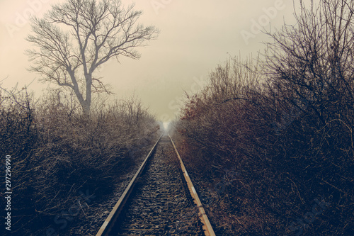 misty morning , train tracks