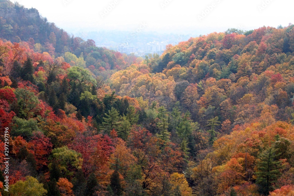 Magnificent colors of Canadian autumn 