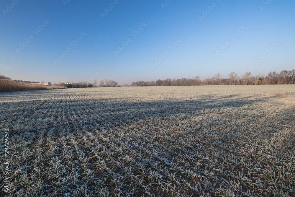 Frozen field