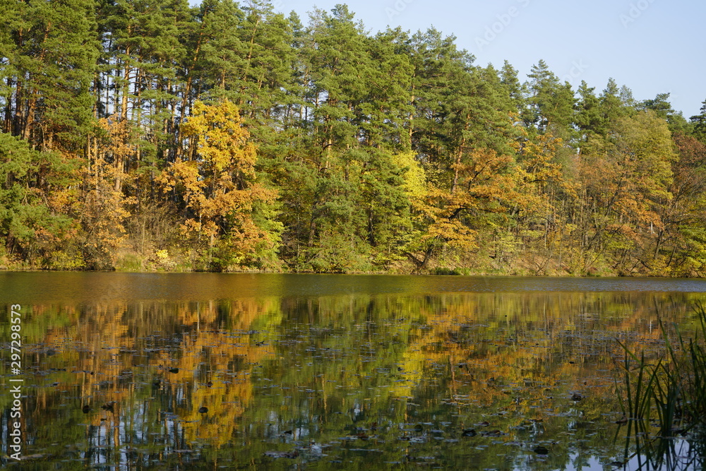 Lake in the autumn forest. Forest lake in the autumn forest. Autumn landscape with a lake and forest. Lake in the autumn forest. Forest lake in the autumn forest. Autumn landscape with a lake and forest.