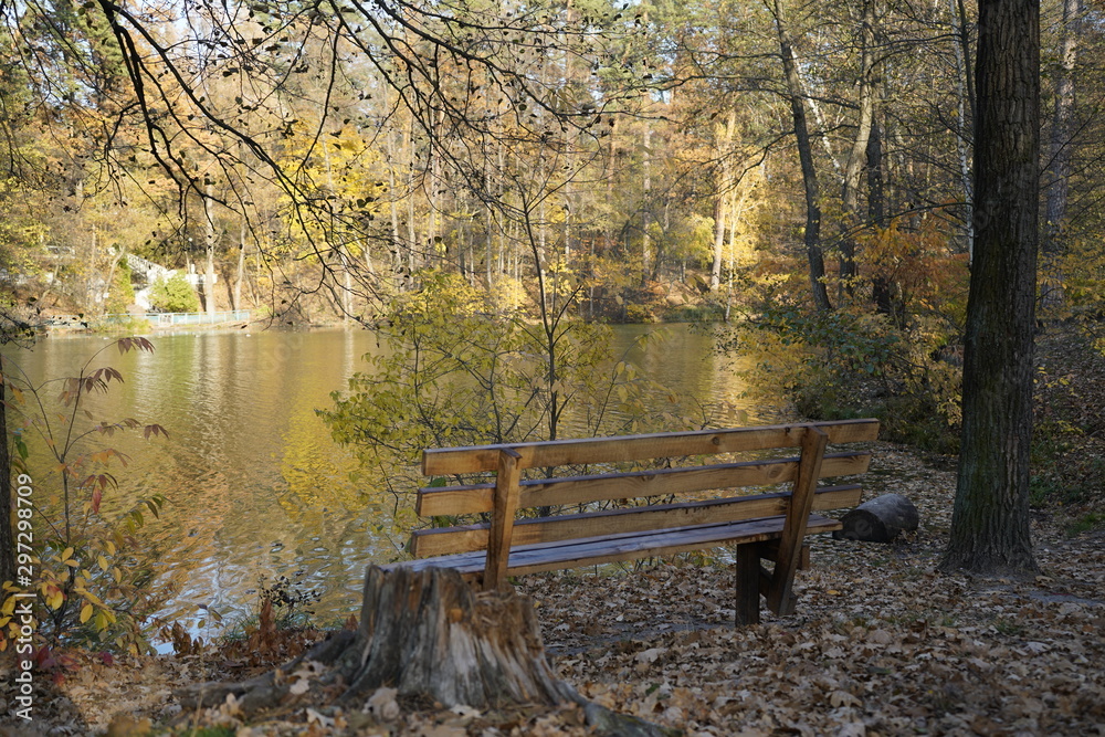Wooden bench in the autumn forest in front of the forest lake.