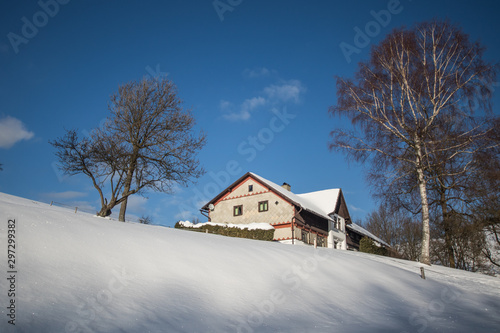 cottage in winter land