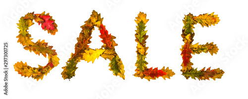 Sale. Text made by autumn leaves. English alphabet. Oak foxes. Font for design. Natural colors. Natural nature shot. Autumn design. True natural beauty.