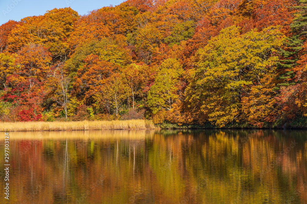 Towada Hachimantai National Park in autumn Towada Hachimantai National Park in autumn