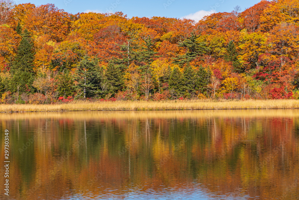 Towada Hachimantai National Park in autumn Towada Hachimantai National Park in autumn