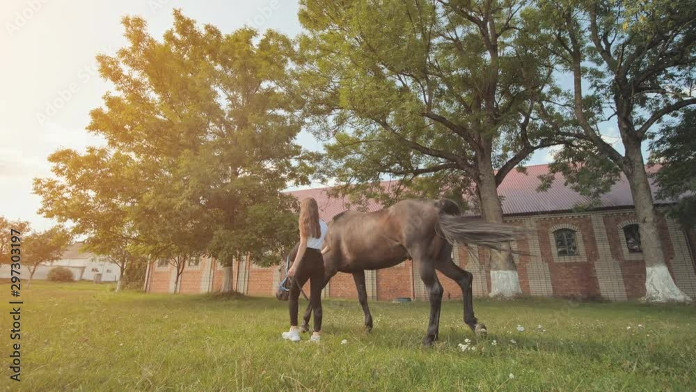 The girl walks and walks with the horse. The girl walks and walks with the horse.