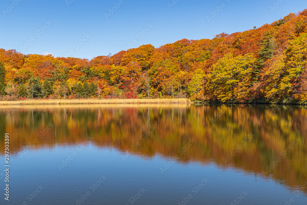 Towada Hachimantai National Park in autumn Towada Hachimantai National Park in autumn