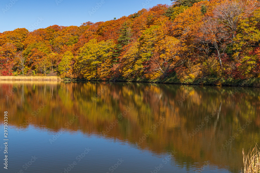 Towada Hachimantai National Park in autumn Towada Hachimantai National Park in autumn