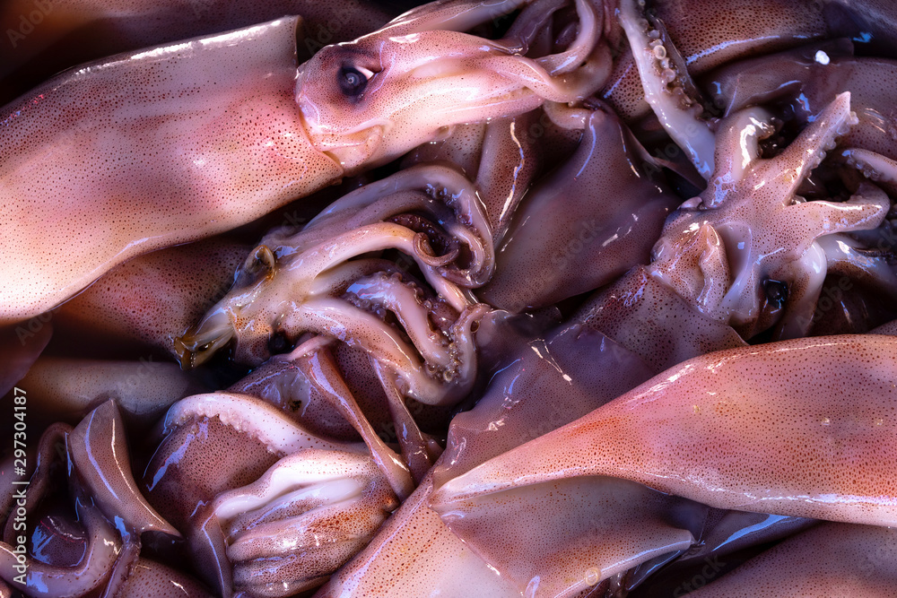 Squids on fish market Squids on fish market