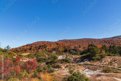 Towada Hachimantai National Park in autumn