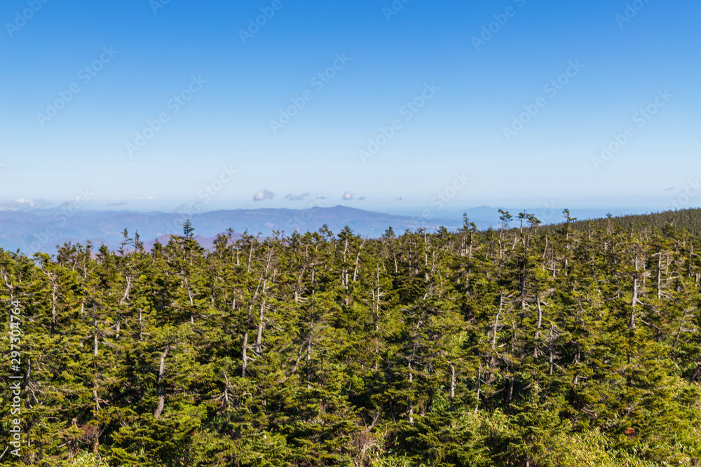 Fototapeta premium Towada Hachimantai National Park in autumn