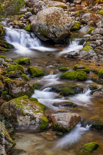 Green creek (High Tatra, Slovakia)