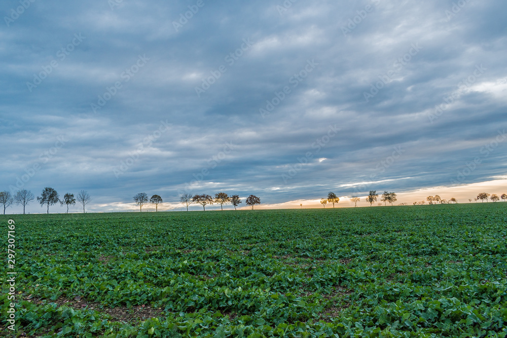 Obraz premium Baden-Wuerttemberg nature and Agriculture. Countryside near Elchingen at Neresheim.