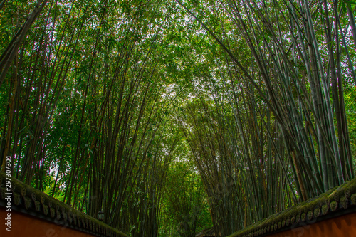 path along The Red Wall with bamboos