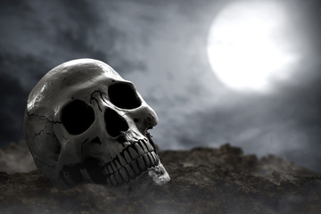 Scary human skull, halloween theme