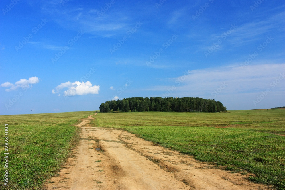 Empty road in the field