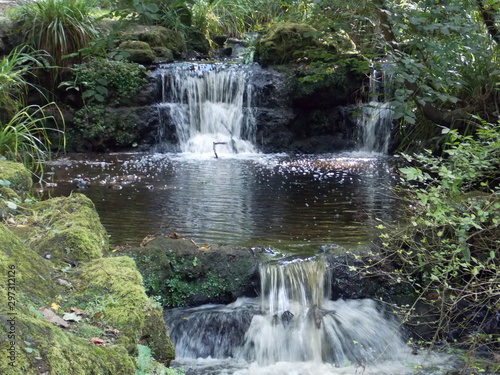 waterfall in the forest