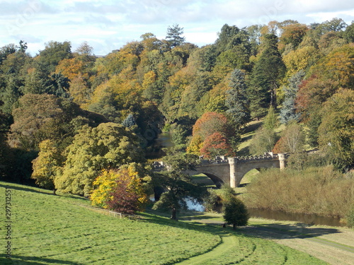 autumn in the park