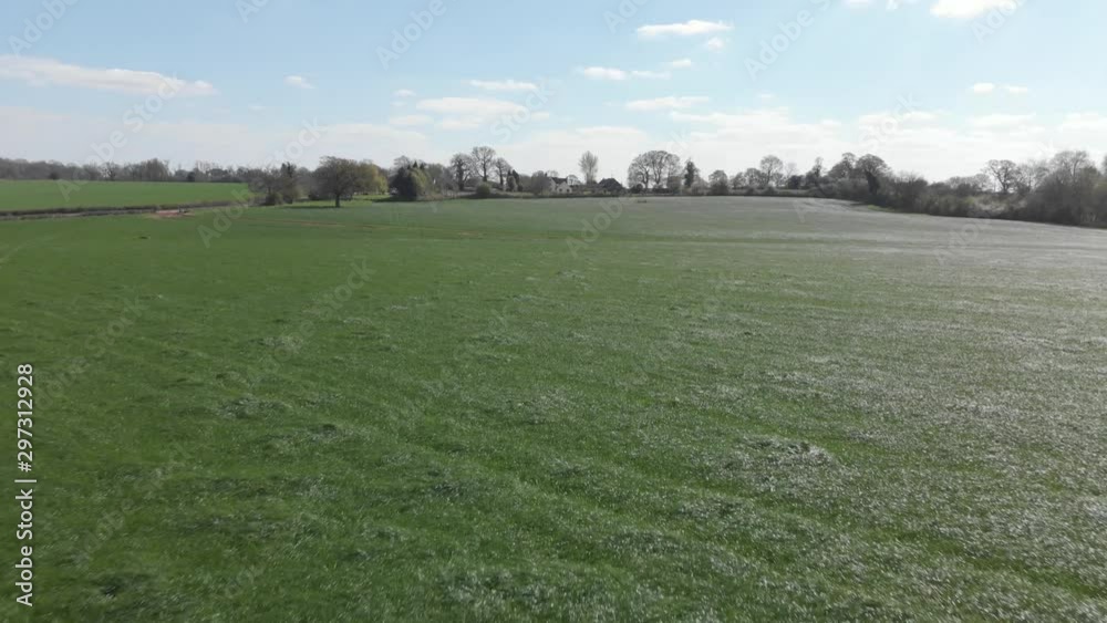 Flying Backwards Over Spring Grass Field English Midlands Flat Agricultural Landscape Aerial 4K Cine D Flying Backwards Over Spring Grass Field English Midlands Flat Agricultural Landscape Aerial 4K Cine D