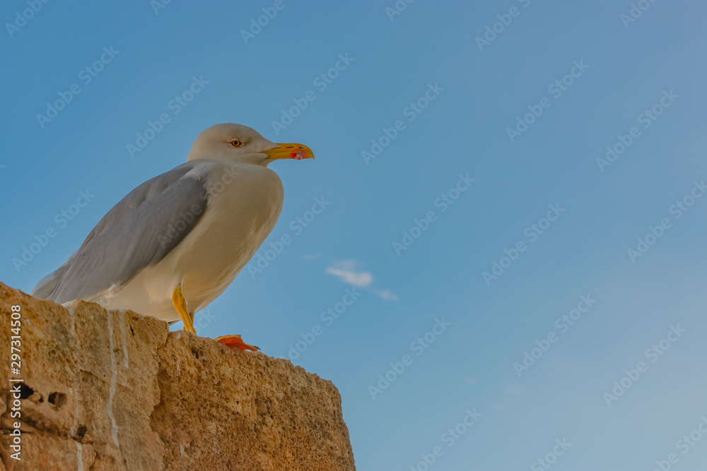 Denia Castle is an icon of the city and must visit Denia Castle is an icon of the city and must visit