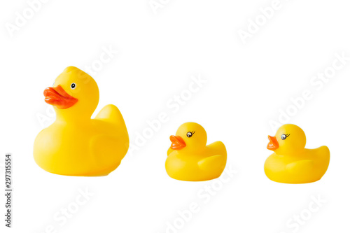 rubber ducks isolated