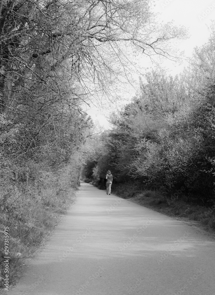 Obraz premium Middle aged woman seen walking alone on a footpath adjacent to a dense forest.