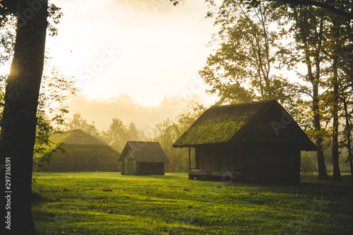 Little house standing in forest sunrise fog