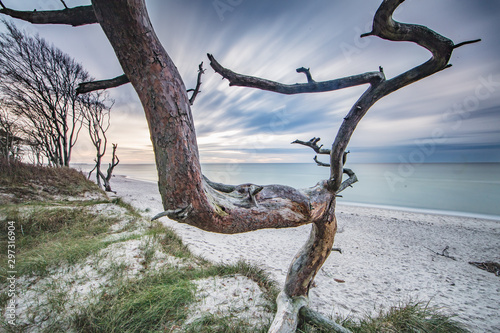 ostsee