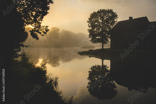 Tree standing near water canal nature morning sunrise foggy morning
