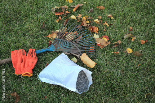 Autumnal foliage, fan rake, gloves and pack of fertilizer are on the lawn.